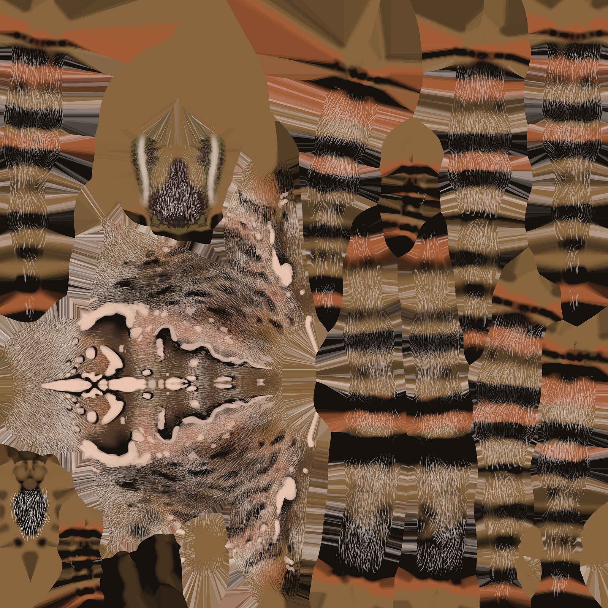 Garden Spider Low-poly 3D model_11