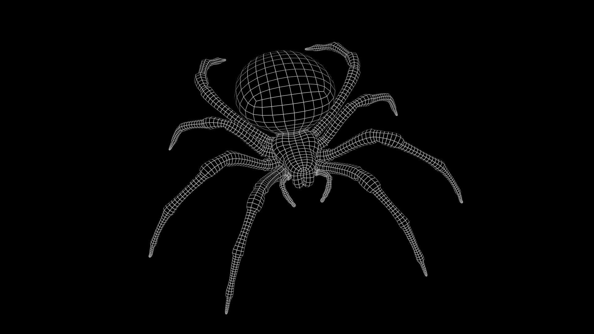 Garden Spider Low-poly 3D model_10