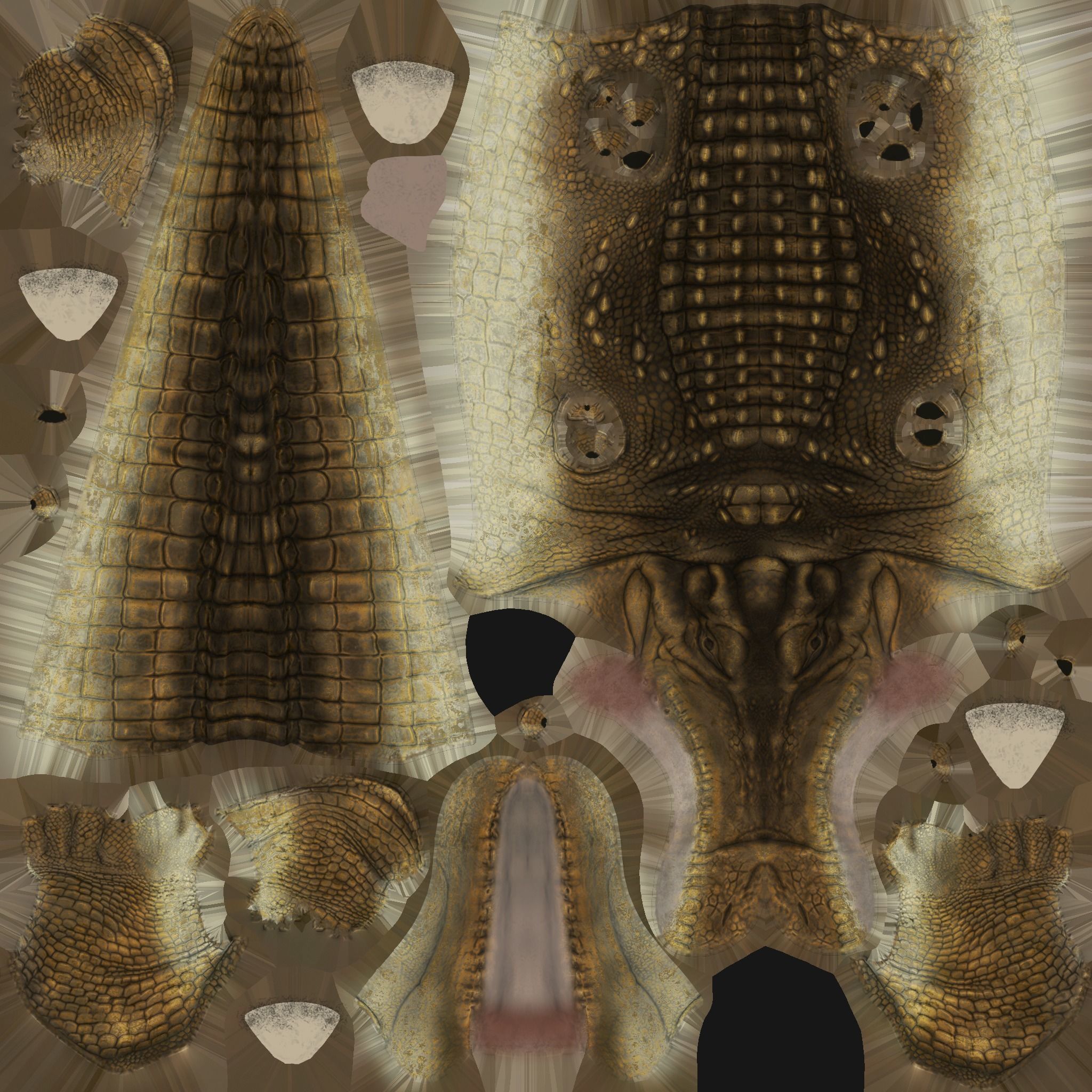 Alligator Animated Low-poly 3D model_3