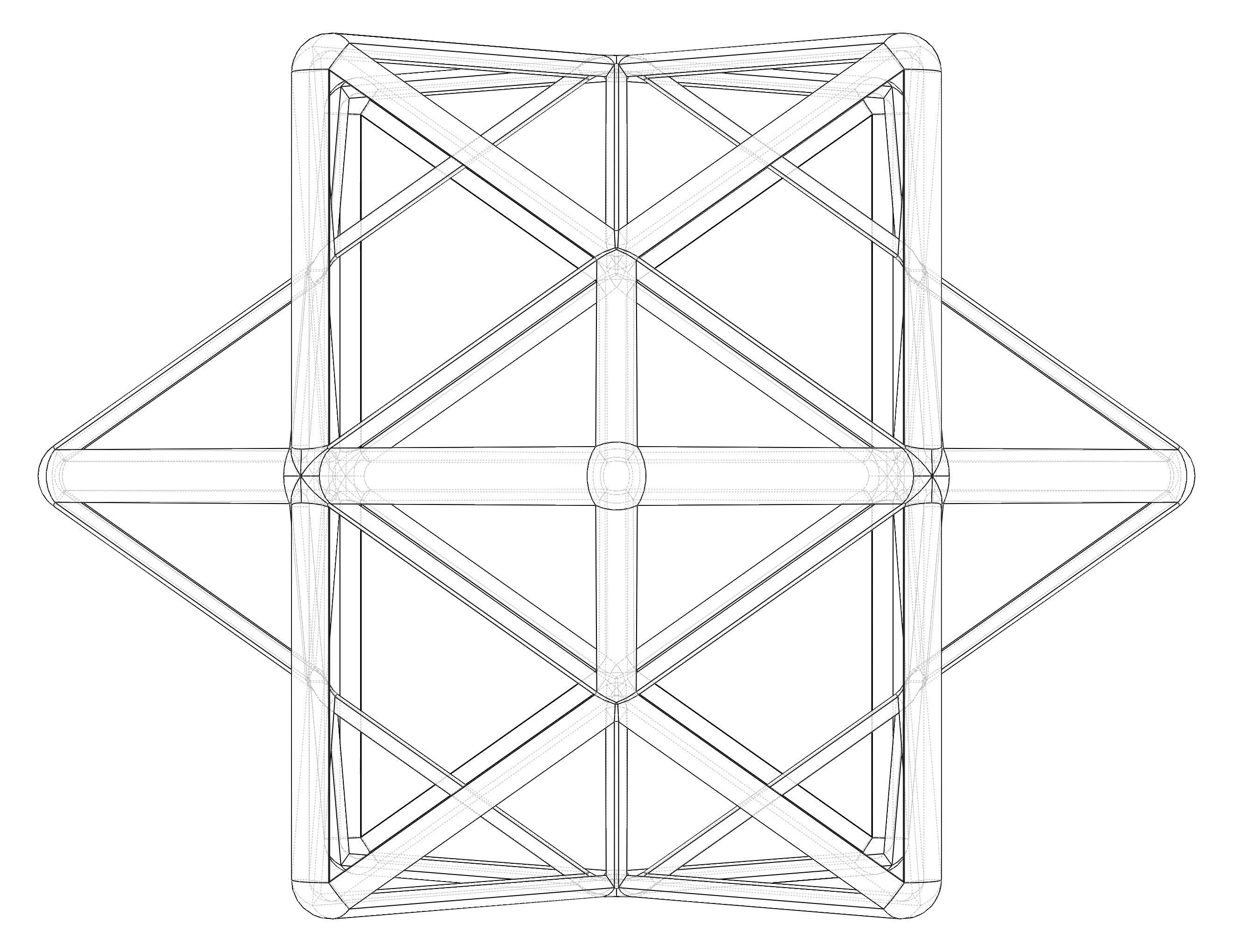 Wireframe Shape First Stellation of The Rhombic Dodecahedron 3D print model_27