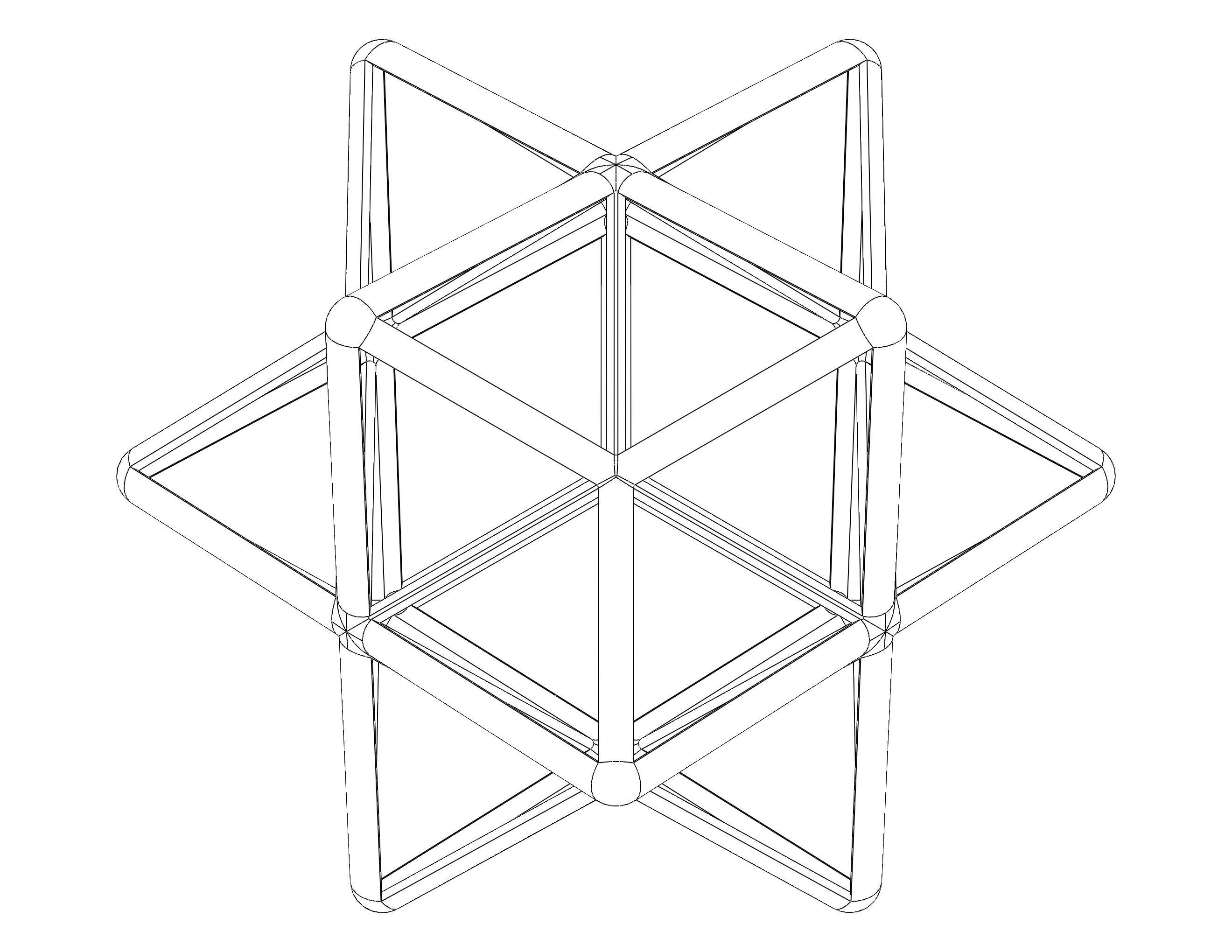 Wireframe Shape First Stellation of The Rhombic Dodecahedron 3D print model_6