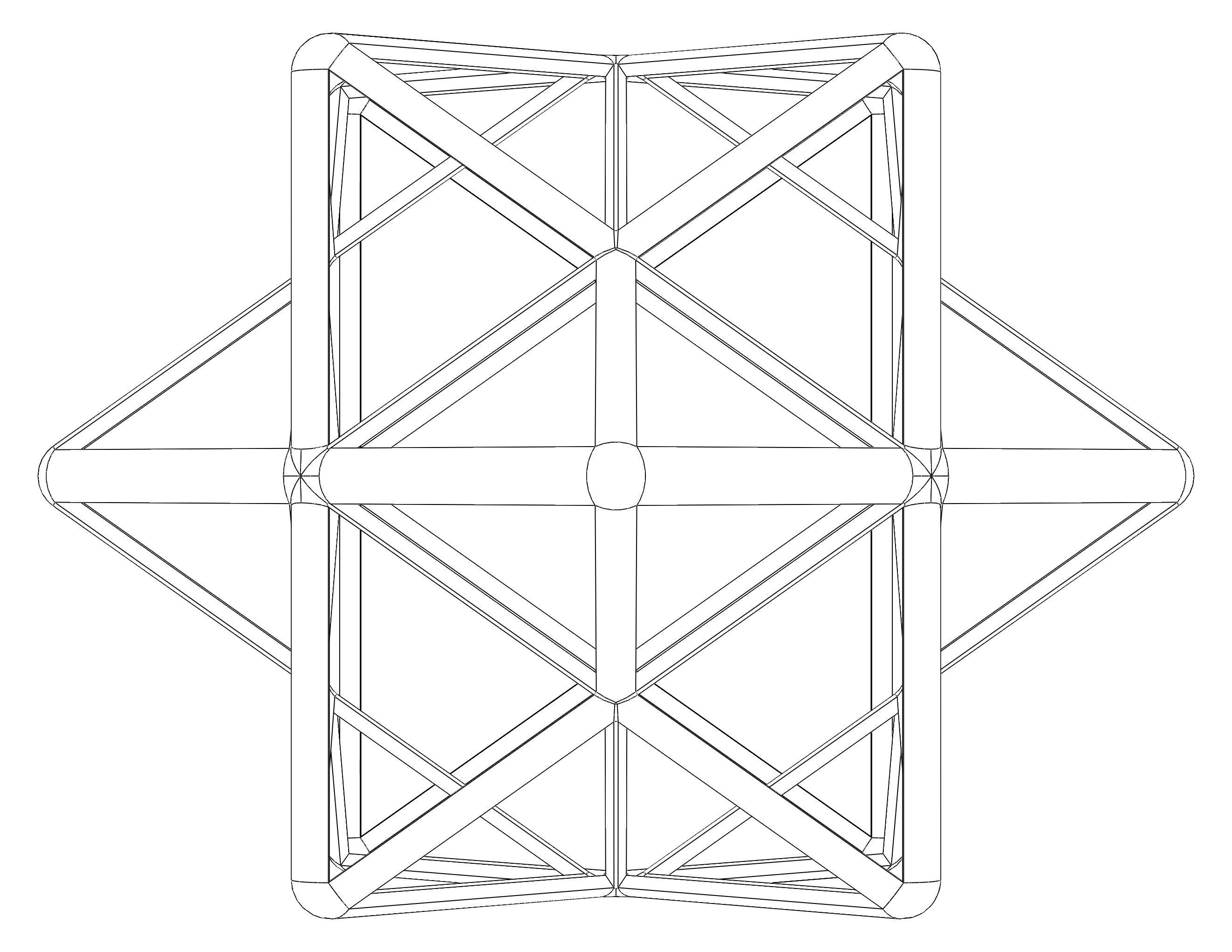 Wireframe Shape First Stellation of The Rhombic Dodecahedron 3D print model_26