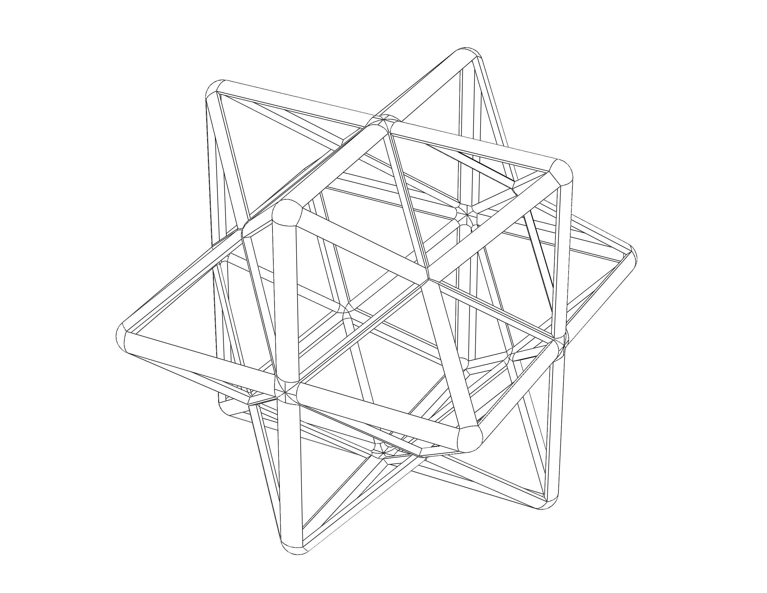 Wireframe Shape First Stellation of The Rhombic Dodecahedron 3D print model_10