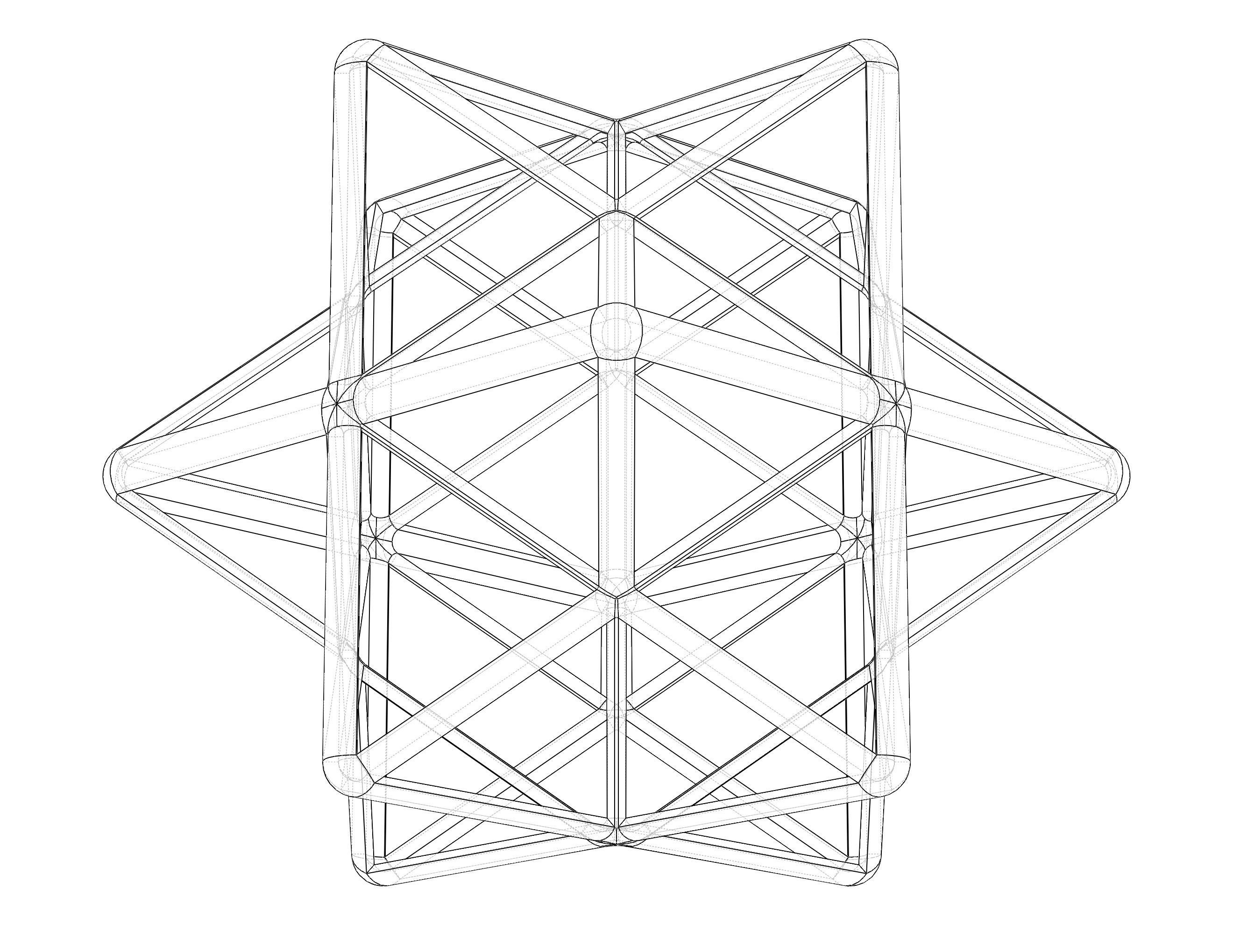 Wireframe Shape First Stellation of The Rhombic Dodecahedron 3D print model_35