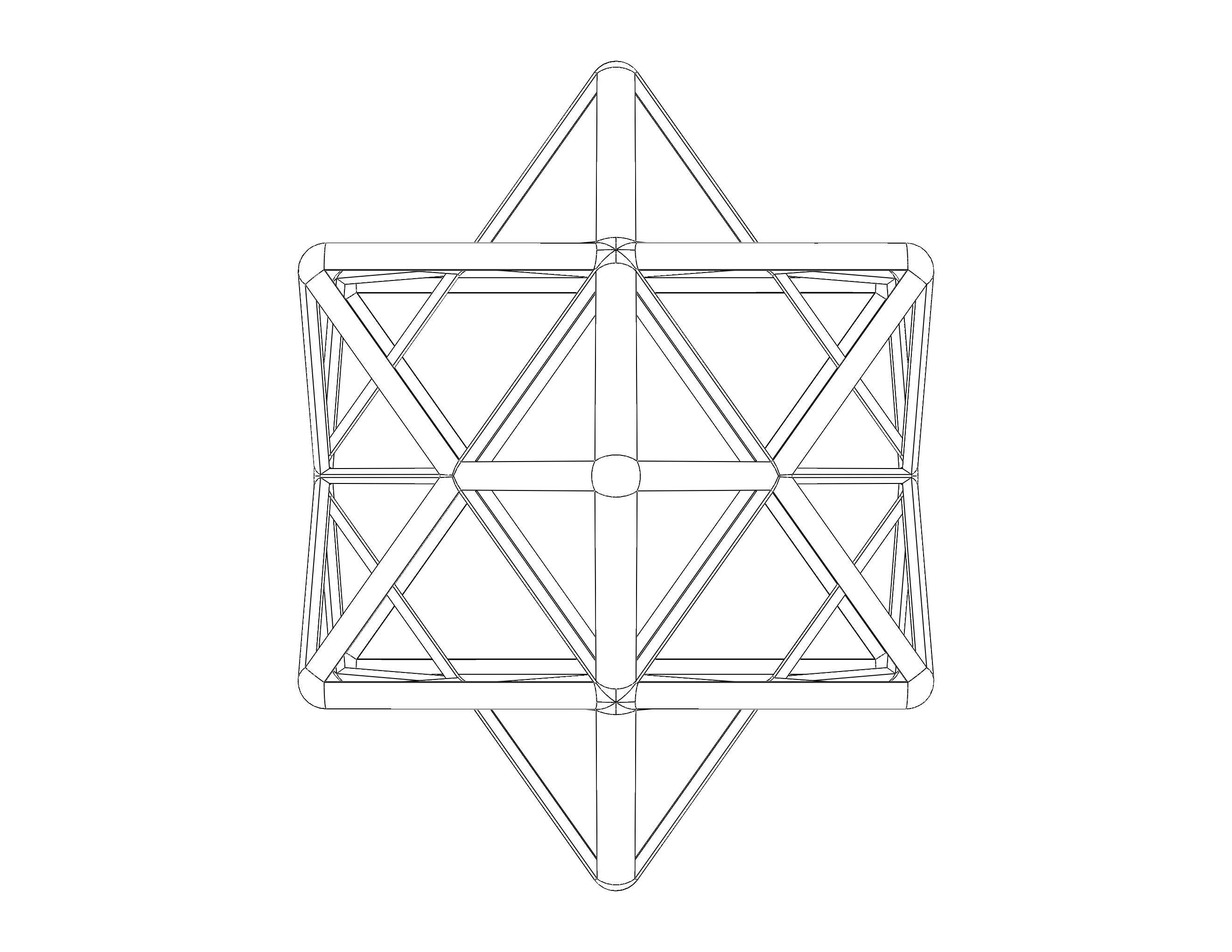 Wireframe Shape First Stellation of The Rhombic Dodecahedron 3D print model_38