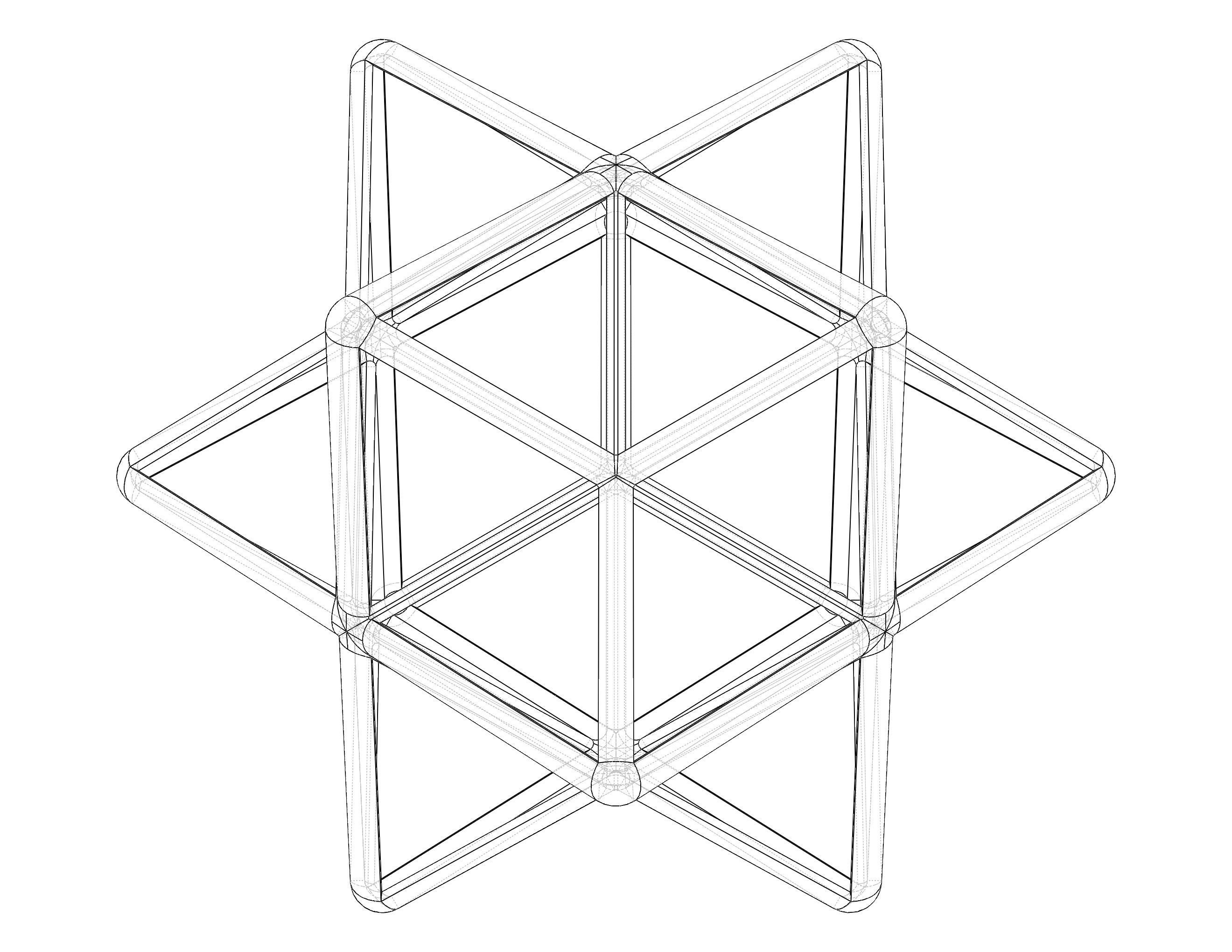 Wireframe Shape First Stellation of The Rhombic Dodecahedron 3D print model_7