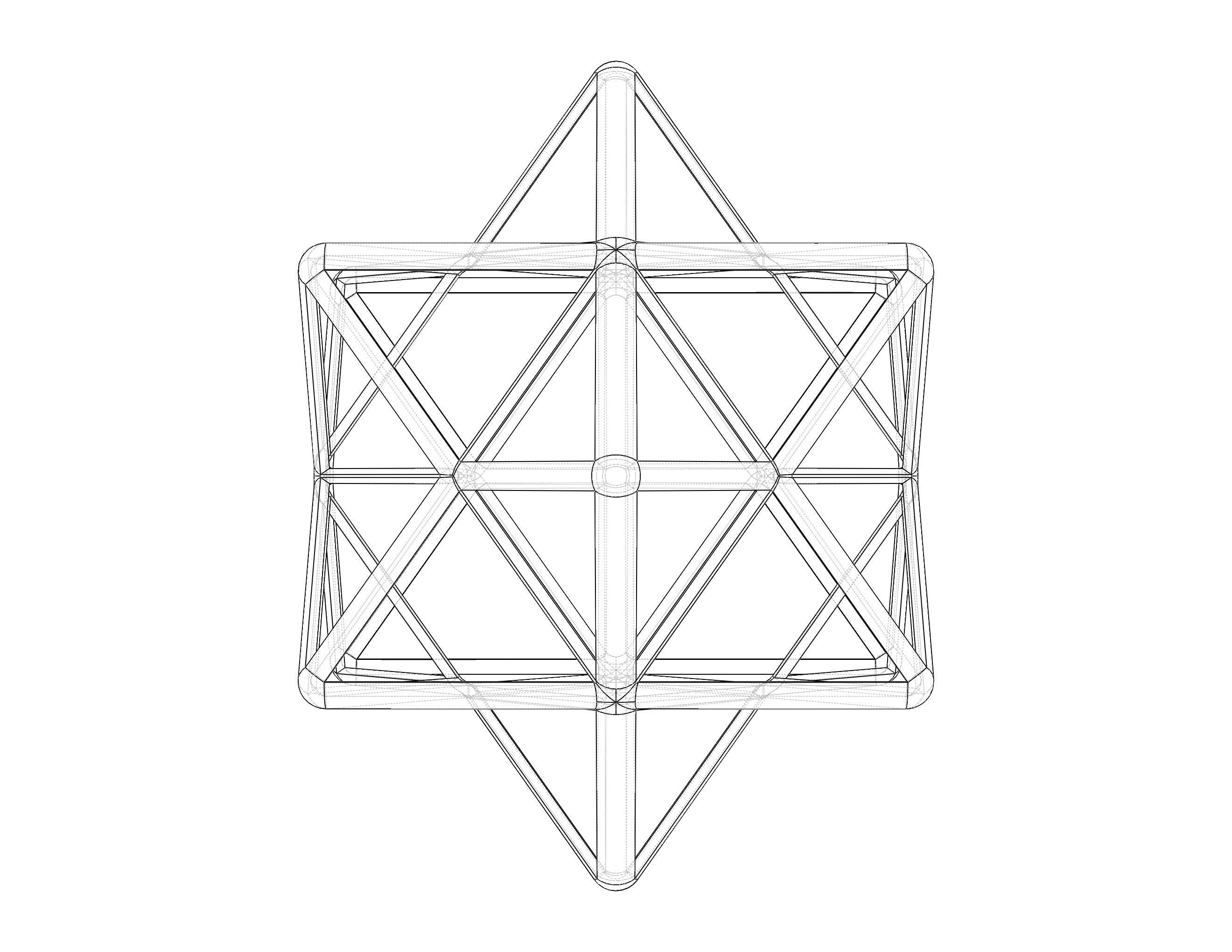 Wireframe Shape First Stellation of The Rhombic Dodecahedron 3D print model_39