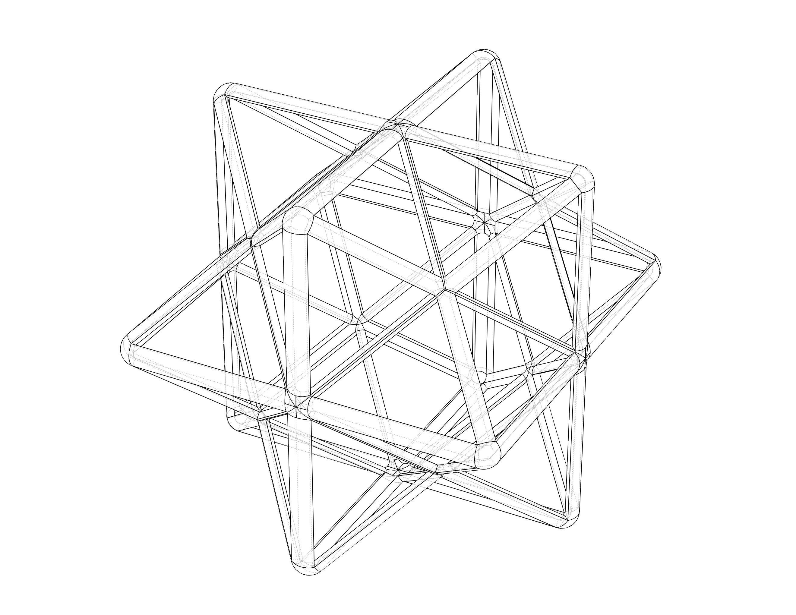 Wireframe Shape First Stellation of The Rhombic Dodecahedron 3D print model_11