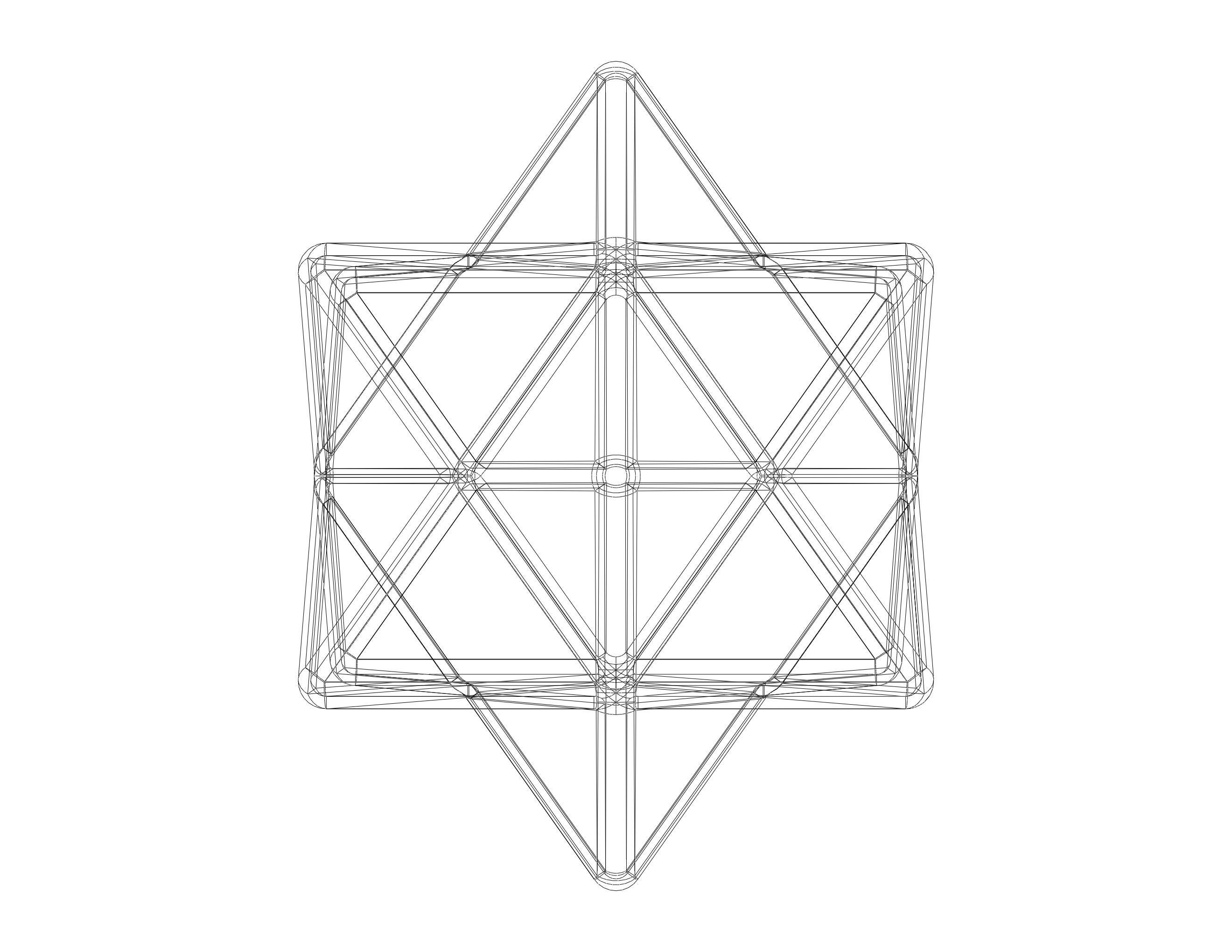 Wireframe Shape First Stellation of The Rhombic Dodecahedron 3D print model_40