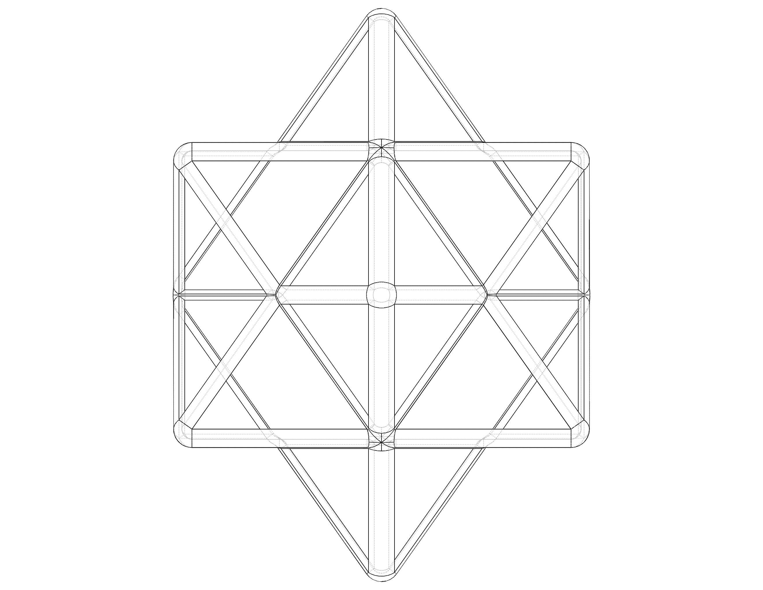 Wireframe Shape First Stellation of The Rhombic Dodecahedron 3D print model_19