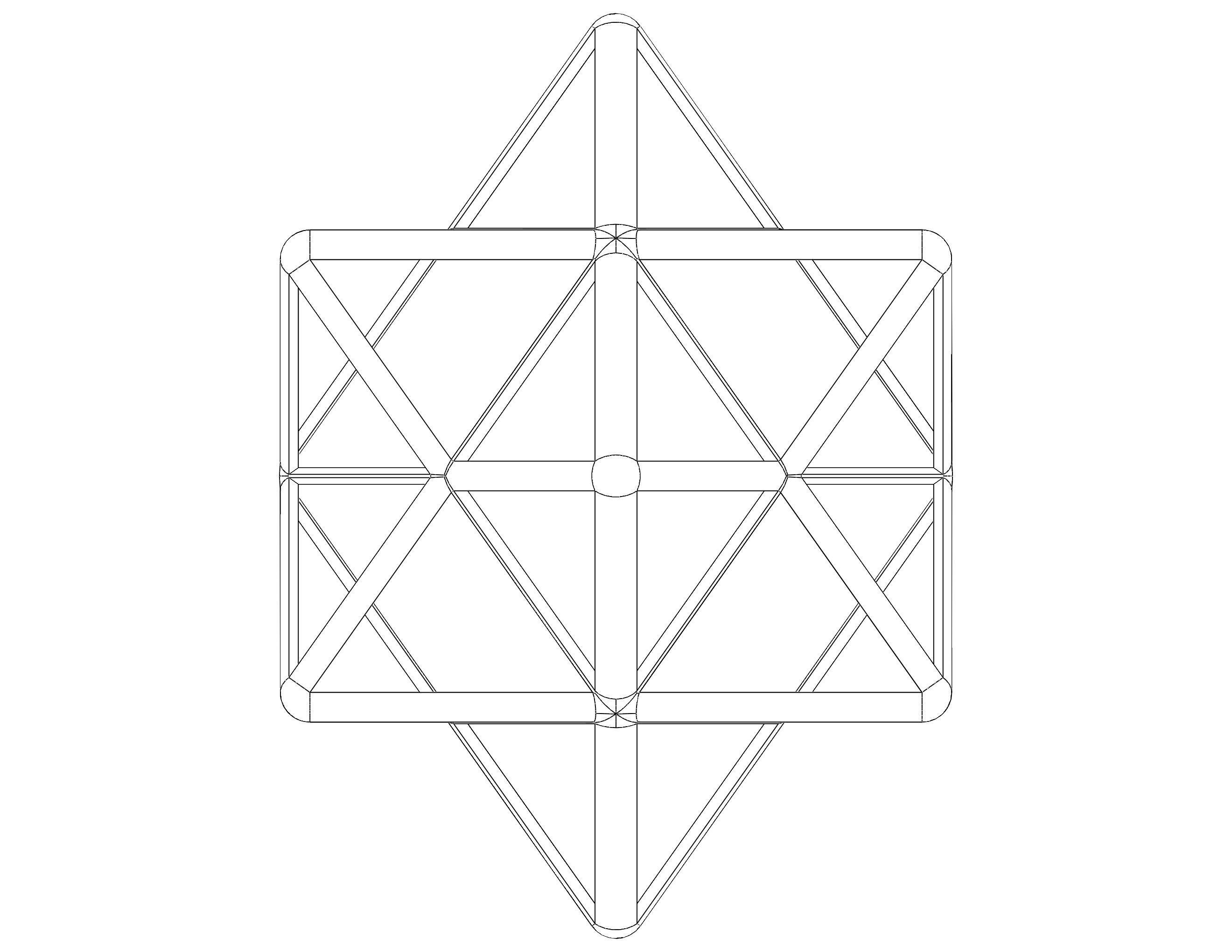 Wireframe Shape First Stellation of The Rhombic Dodecahedron 3D print model_18