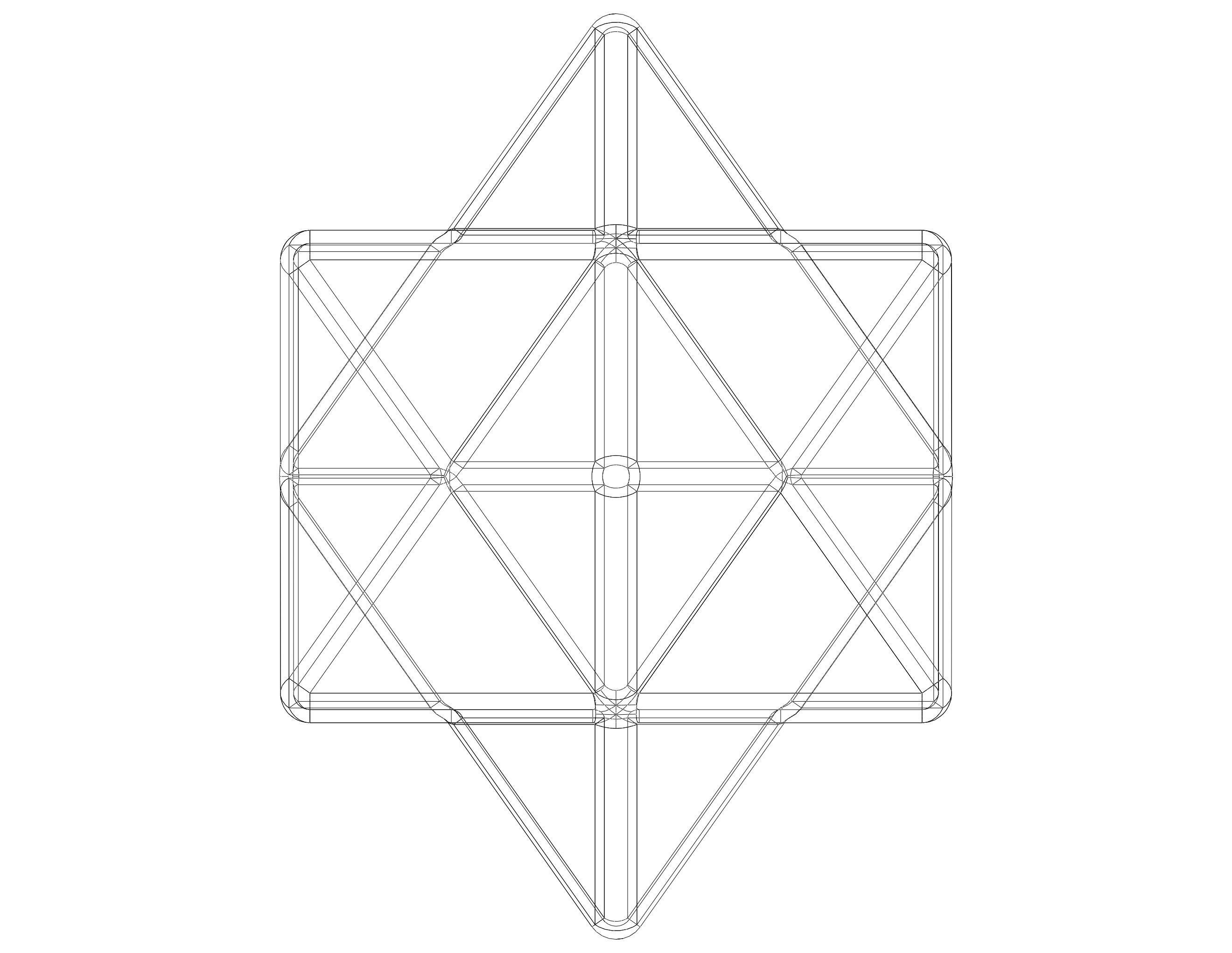 Wireframe Shape First Stellation of The Rhombic Dodecahedron 3D print model_20