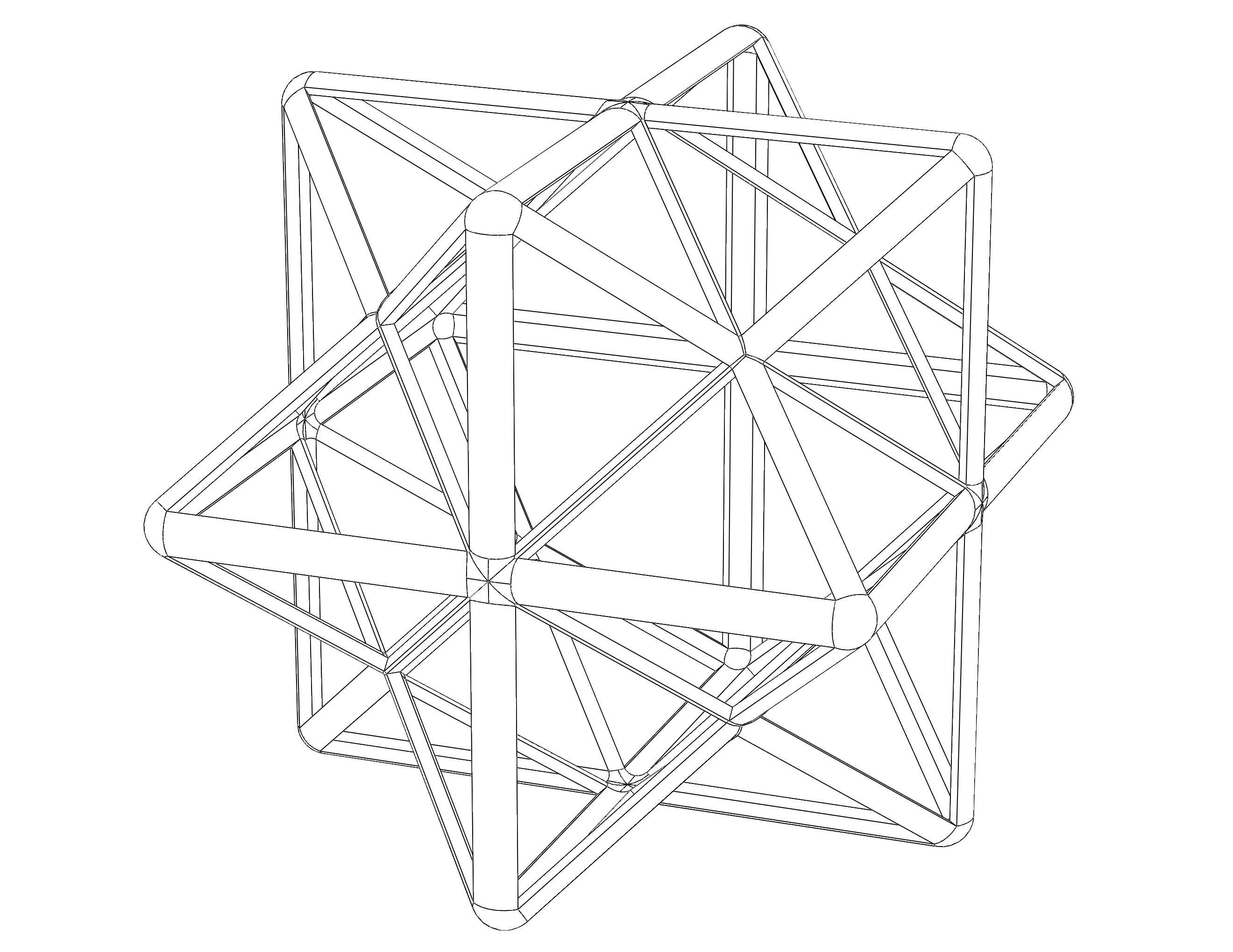 Wireframe Shape First Stellation of The Rhombic Dodecahedron 3D print model_2