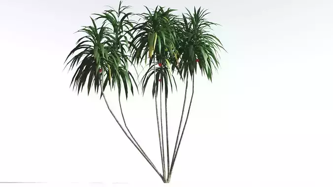 EVERYPlant Scrub Breadfruit LowPoly 1 --18 Models-- Low-poly 3D model