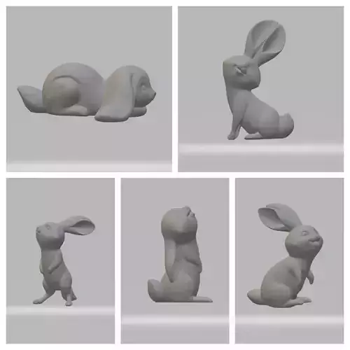 Rabbit