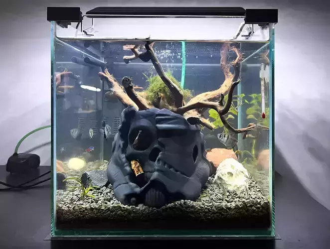 STAR WARS Coral for aquarium 3D print model