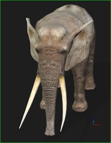 elephante modal iprop 3D model_1