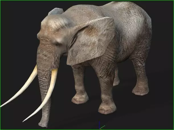 elephante modal iprop 3D model_0