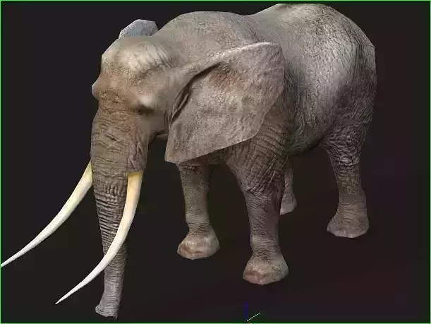 elephante modal iprop