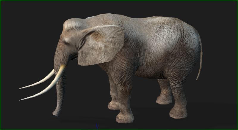 elephante modal iprop 3D model_3