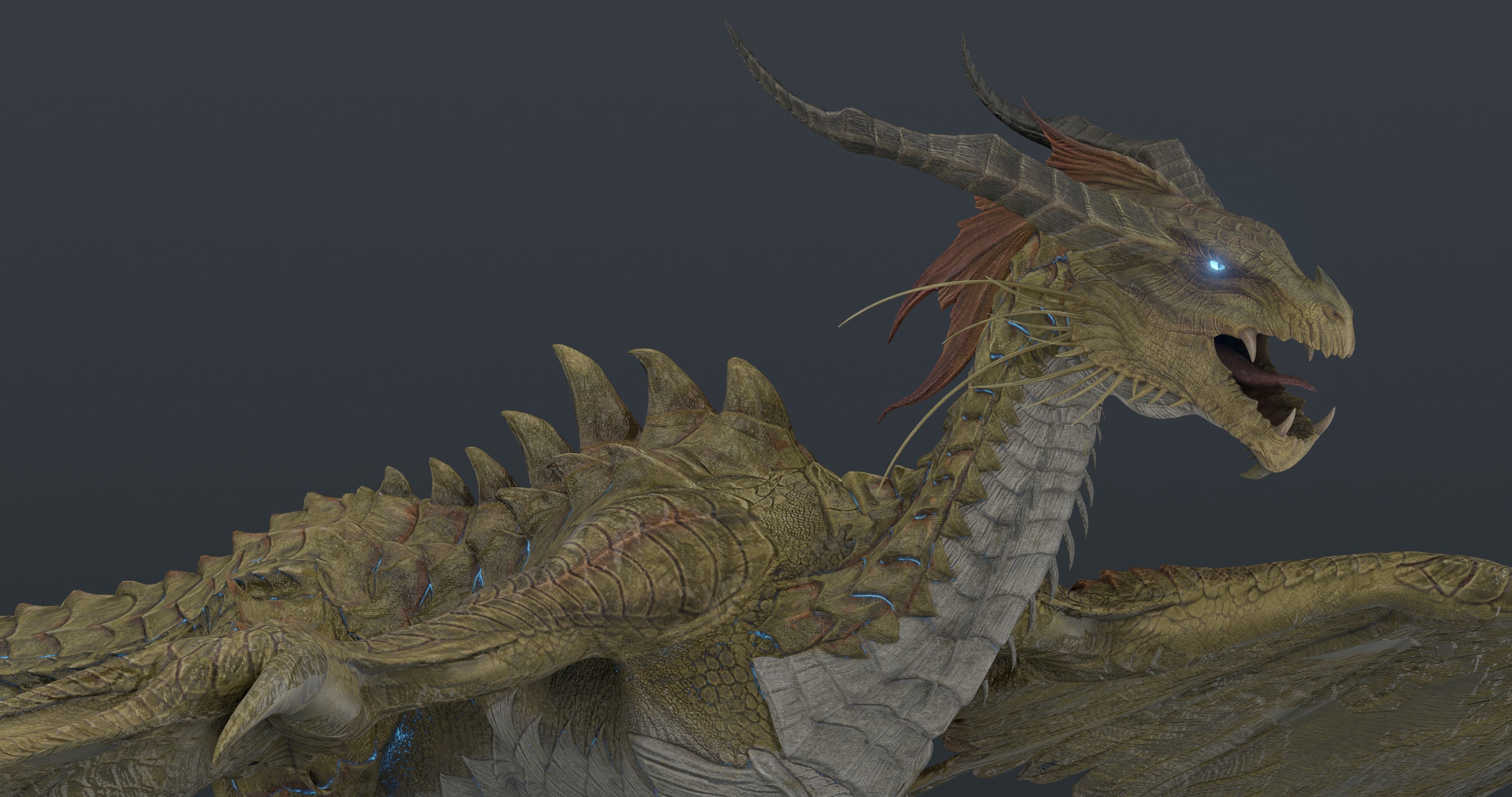 Nordic Legendary Dragon -rigged Low-poly 3D model_20