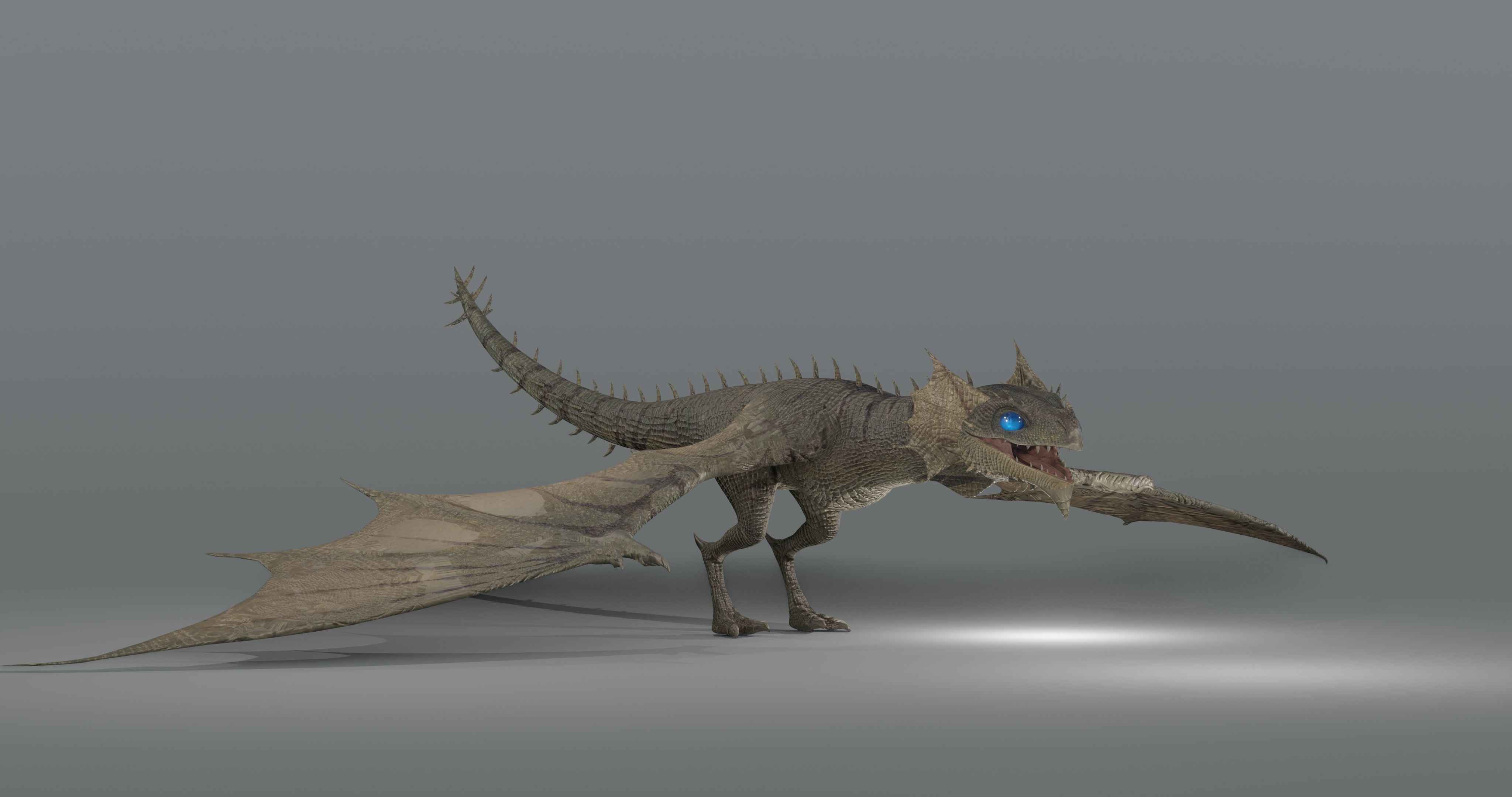The Wyvern CAYMAN - rigged Low-poly 3D model_14