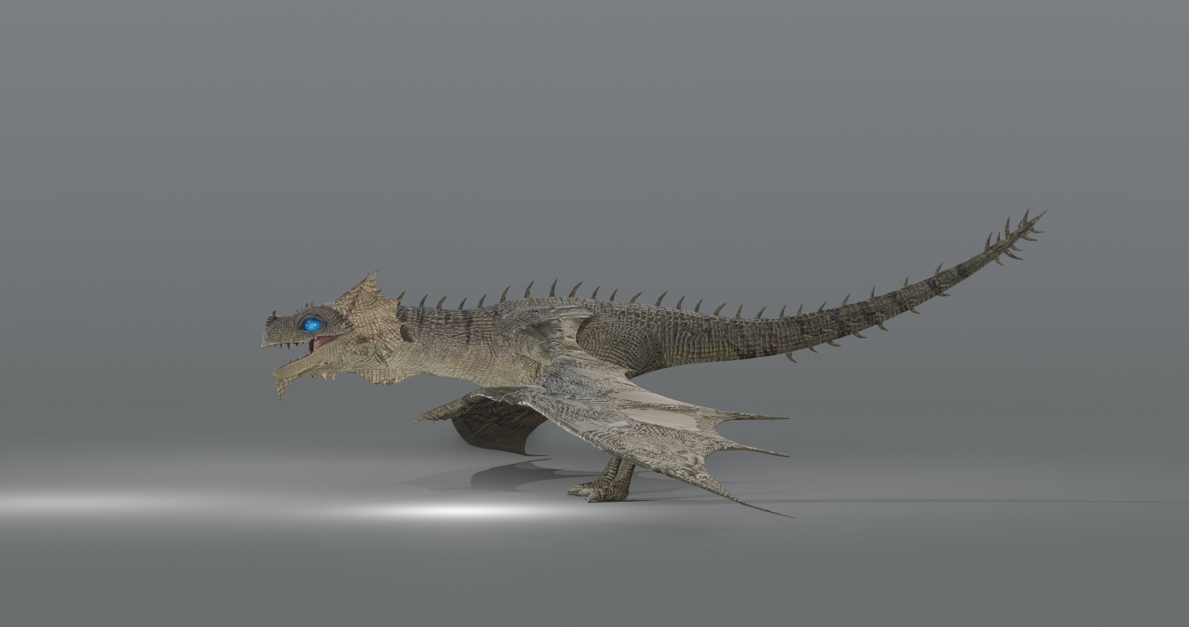 The Wyvern CAYMAN - rigged Low-poly 3D model_9
