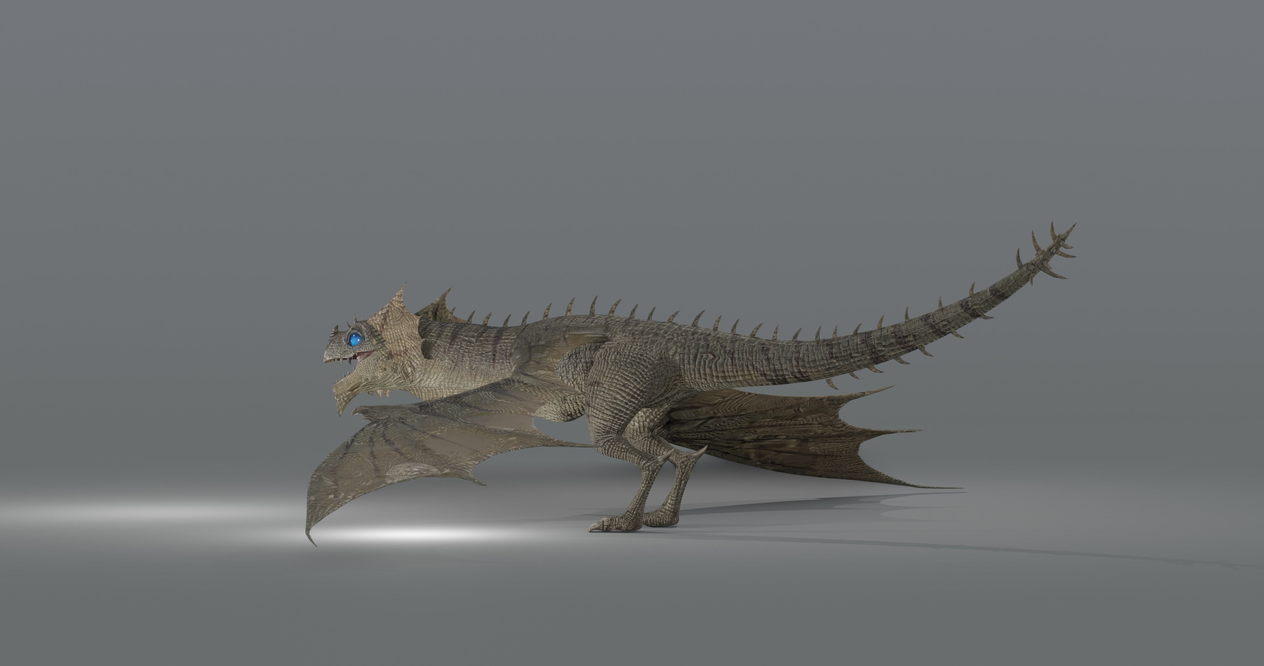 The Wyvern CAYMAN - rigged Low-poly 3D model_8