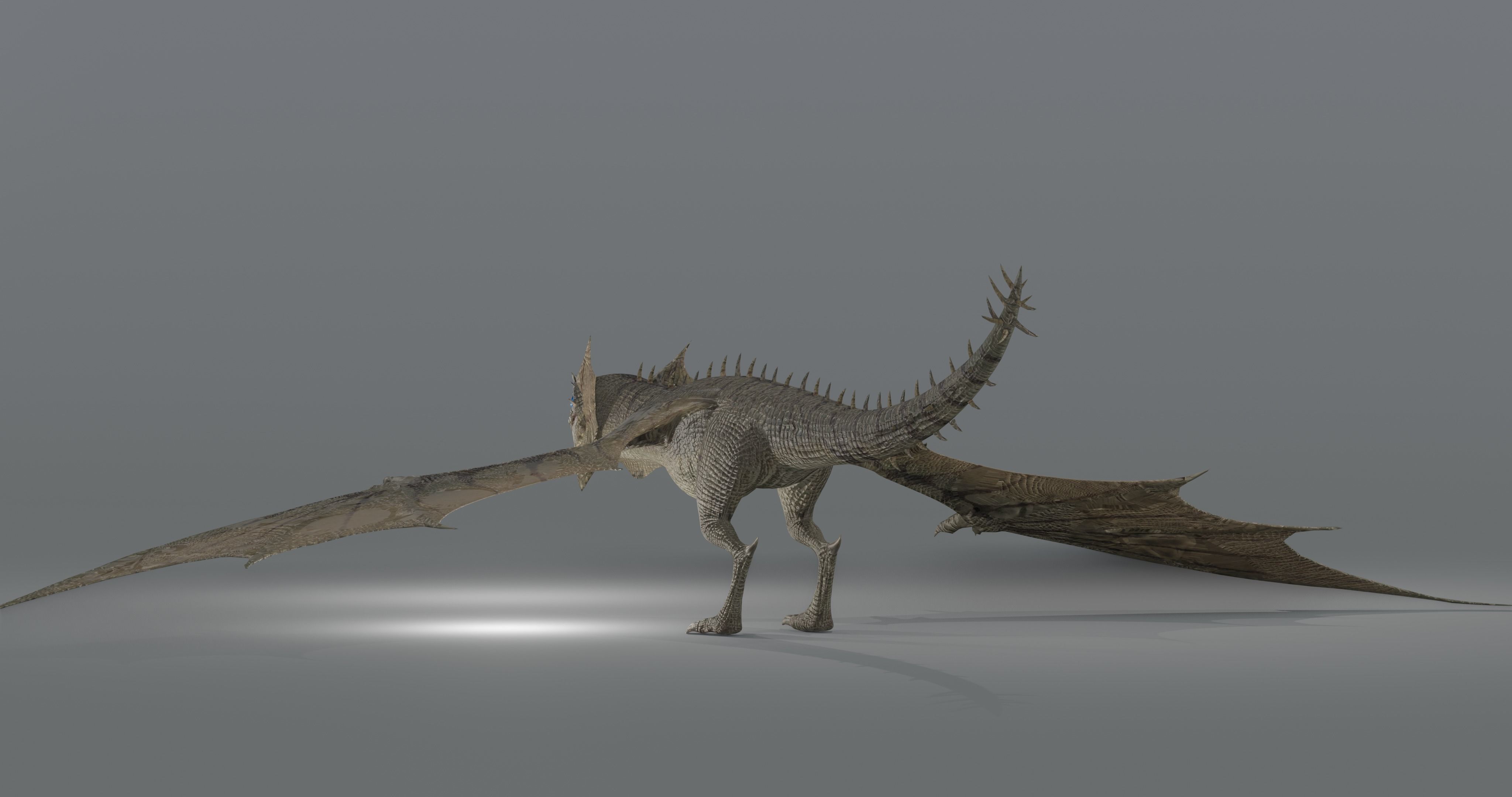 The Wyvern CAYMAN - rigged Low-poly 3D model_7