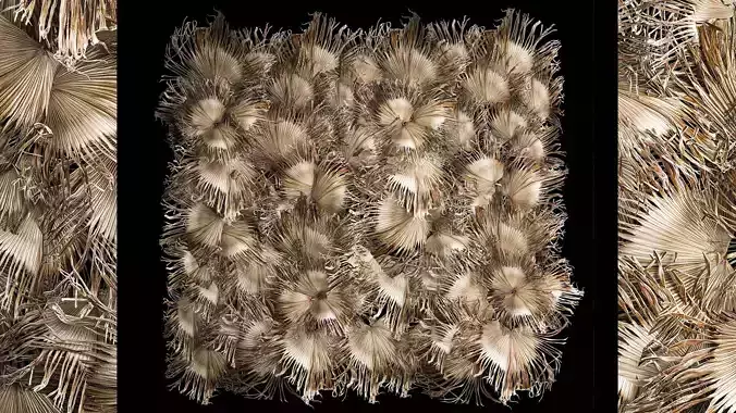 Phytowall wall decor dry branches of palm leaves 310