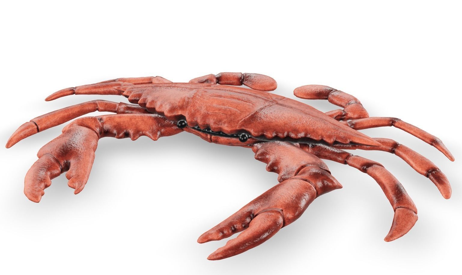Crab 3D 3D model_2