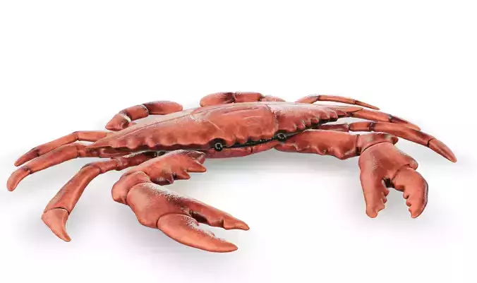 Crab 3D