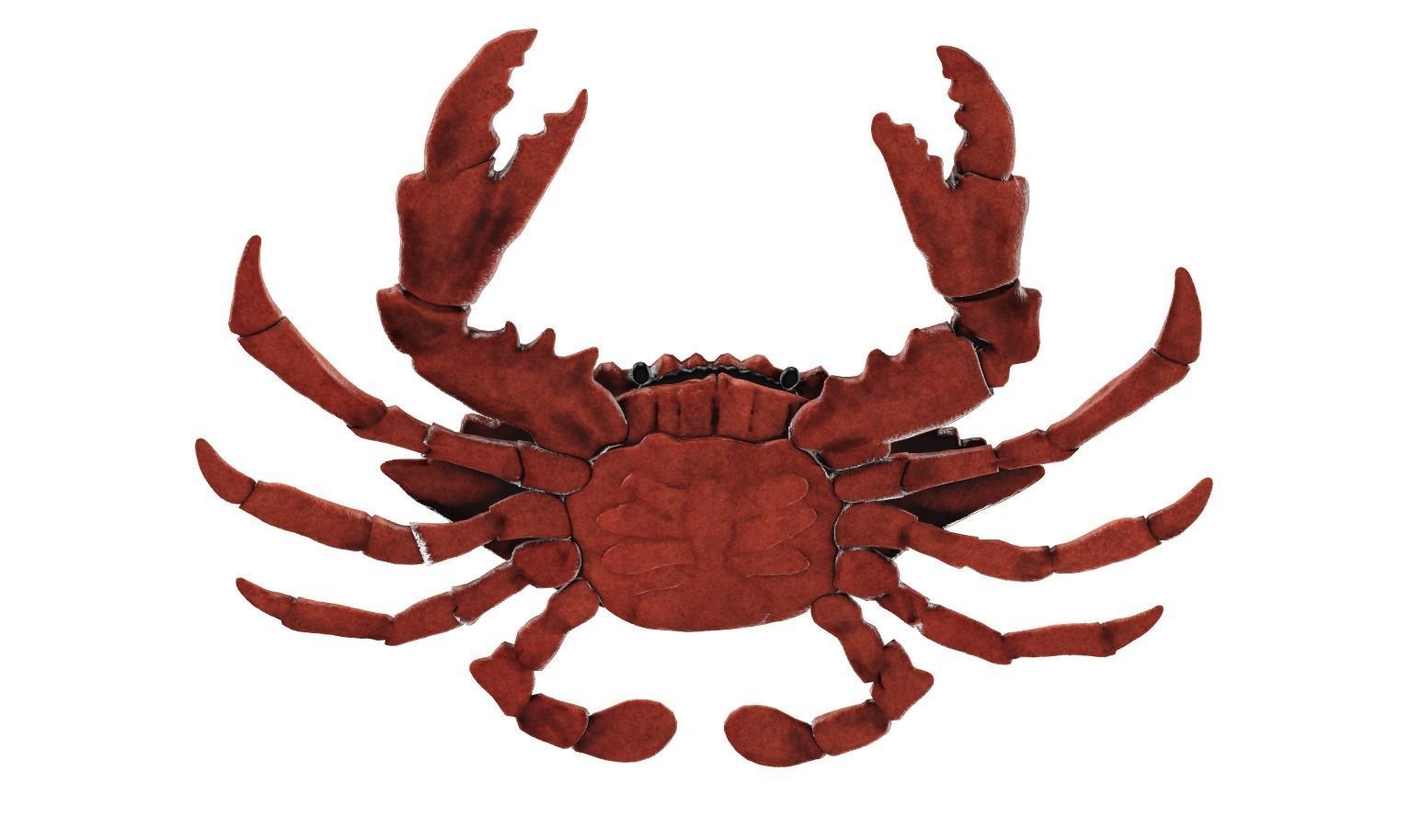 Crab 3D 3D model_1