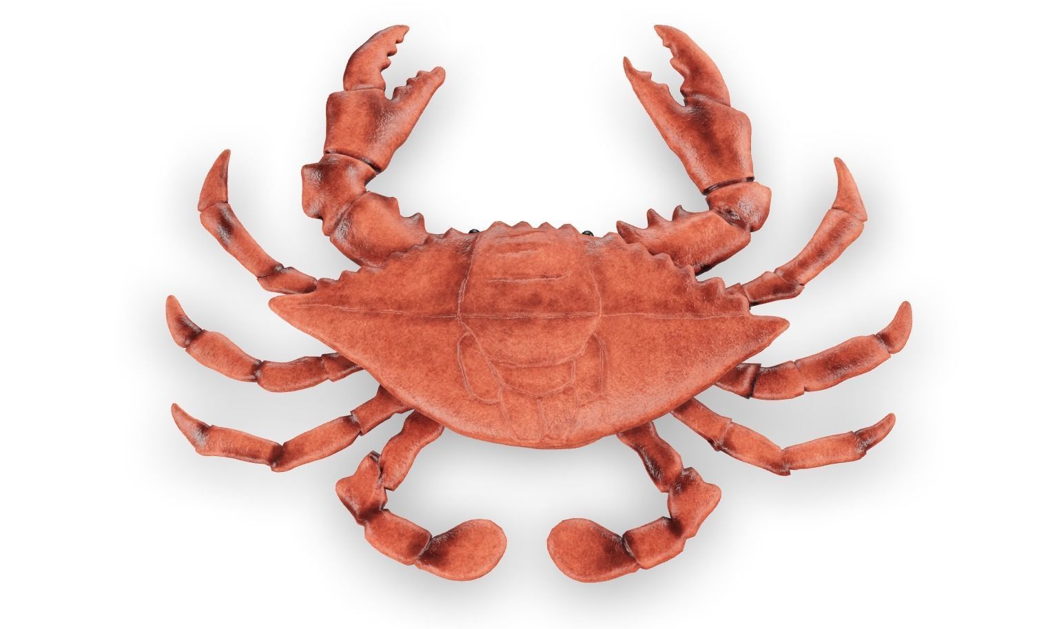 Crab 3D 3D model_3