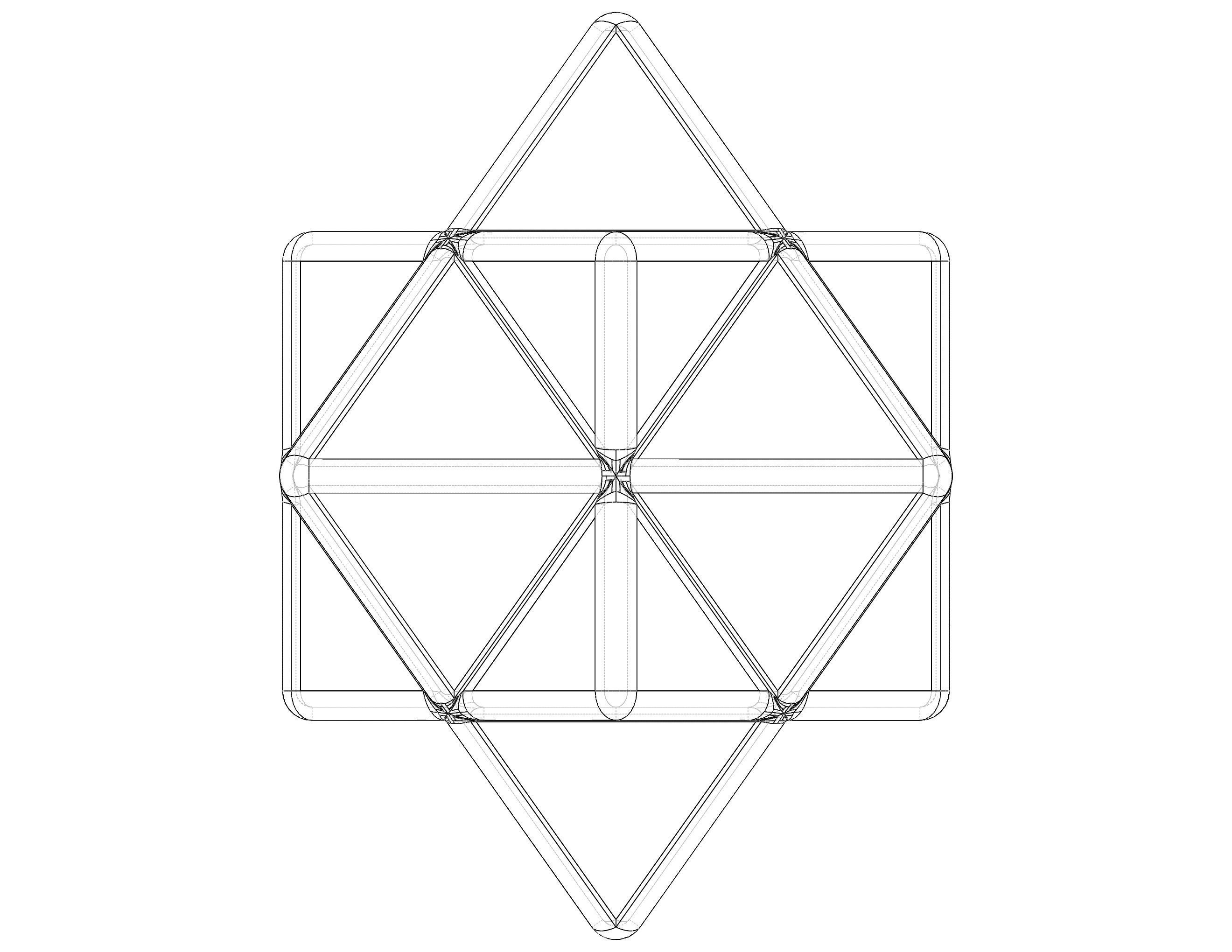 Wireframe Shape First Stellation of Cuboctahedron 3D print model_31
