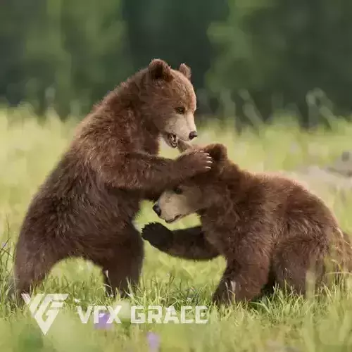 Brown Bear Young VFX Grace 3D model