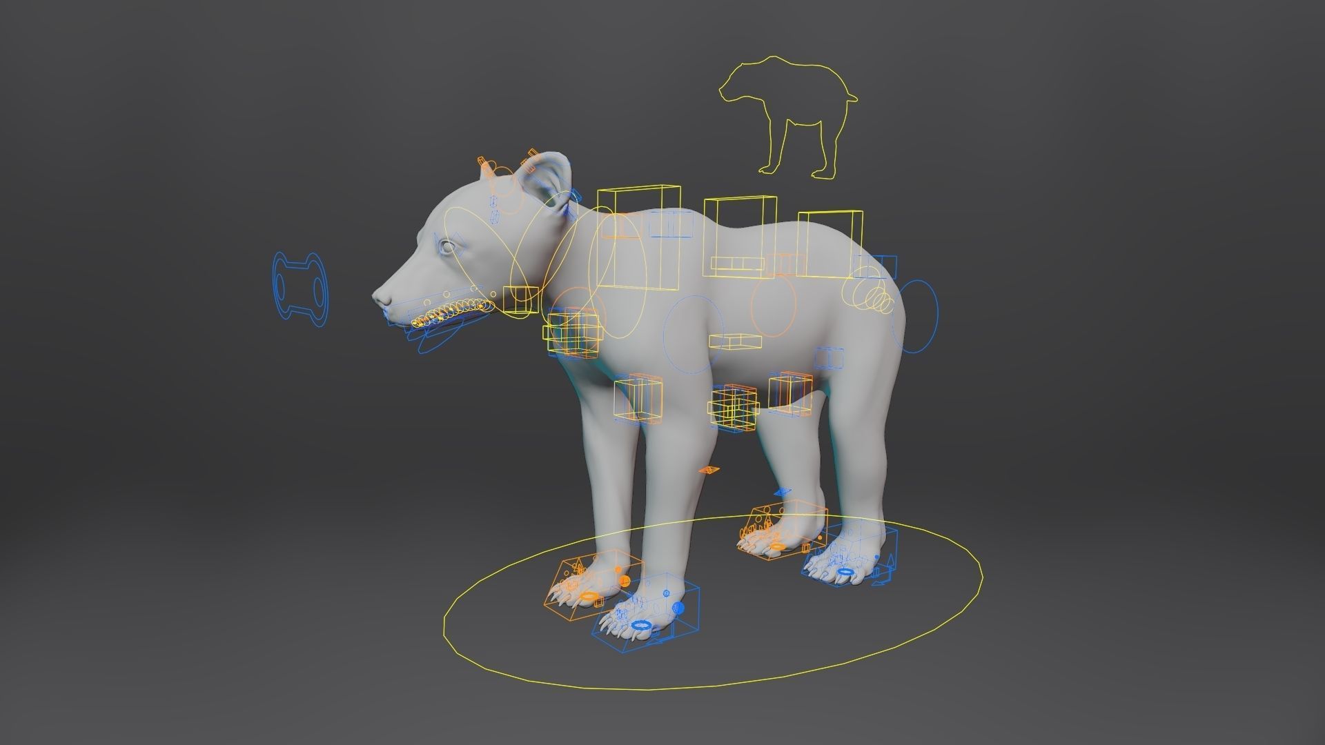 Brown Bear Young VFX Grace 3D model_16