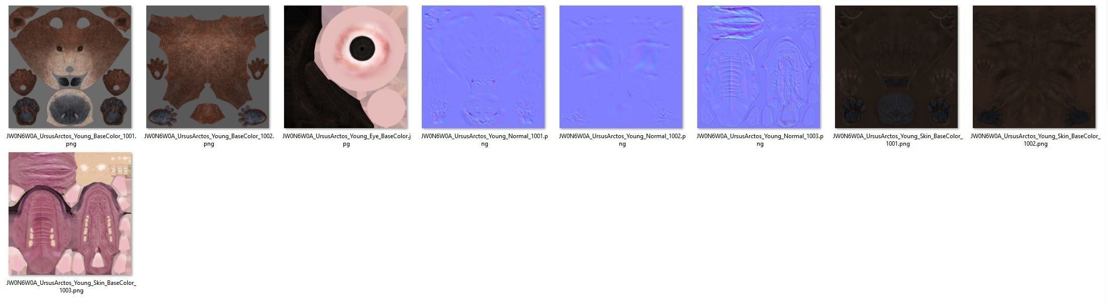 Brown Bear Young VFX Grace 3D model_22