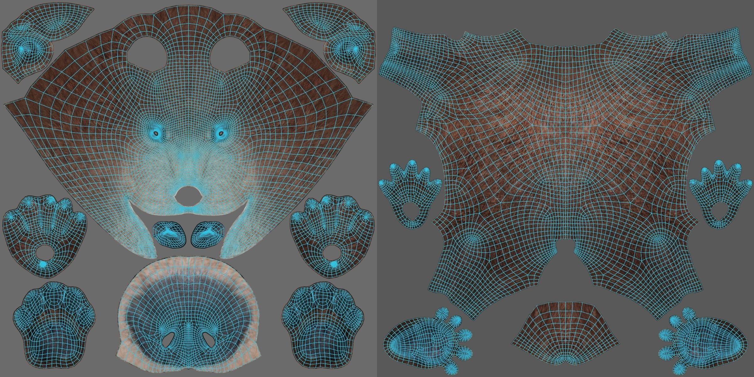 Brown Bear Young VFX Grace 3D model_20