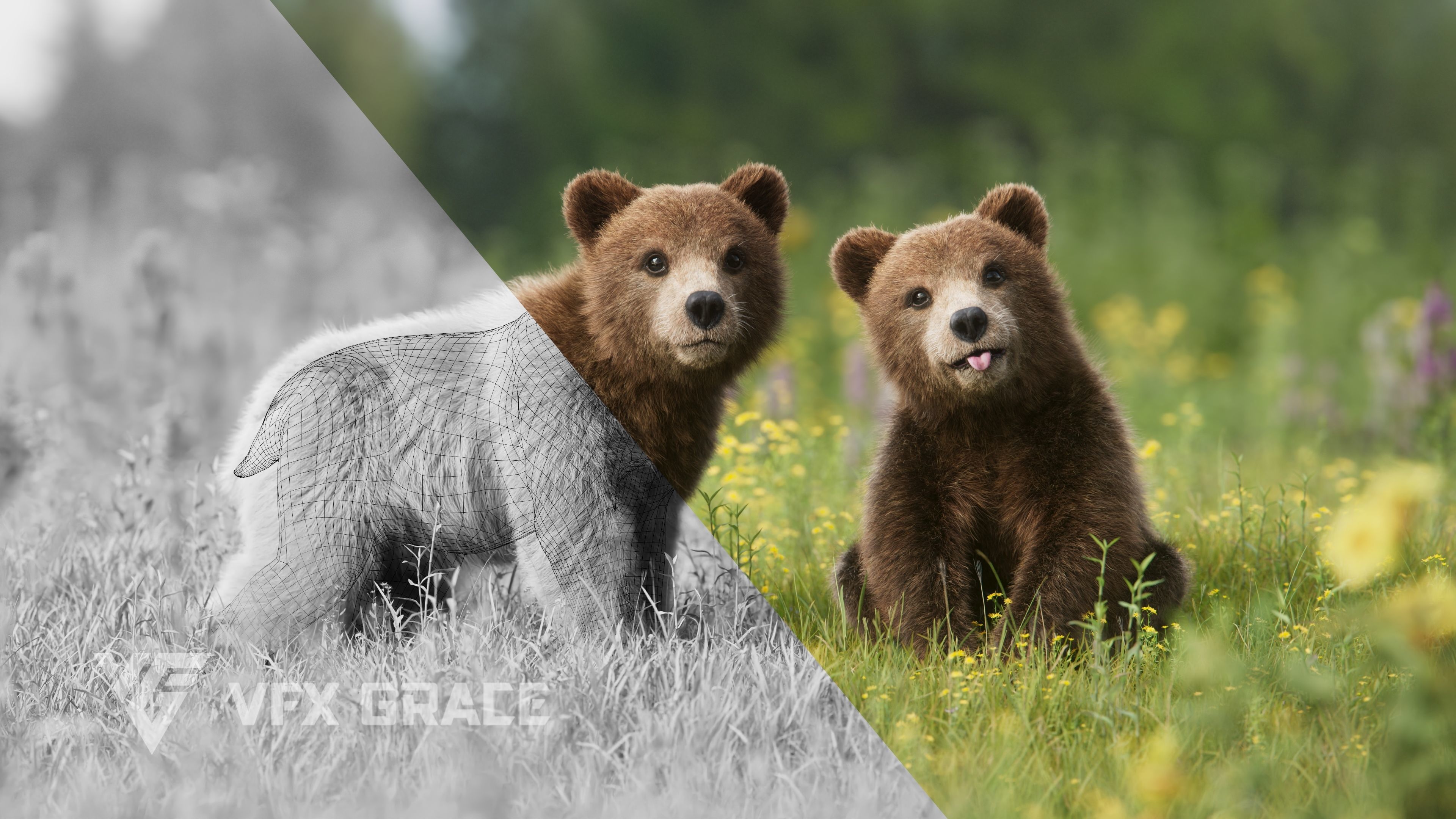 Brown Bear Young VFX Grace 3D model_8
