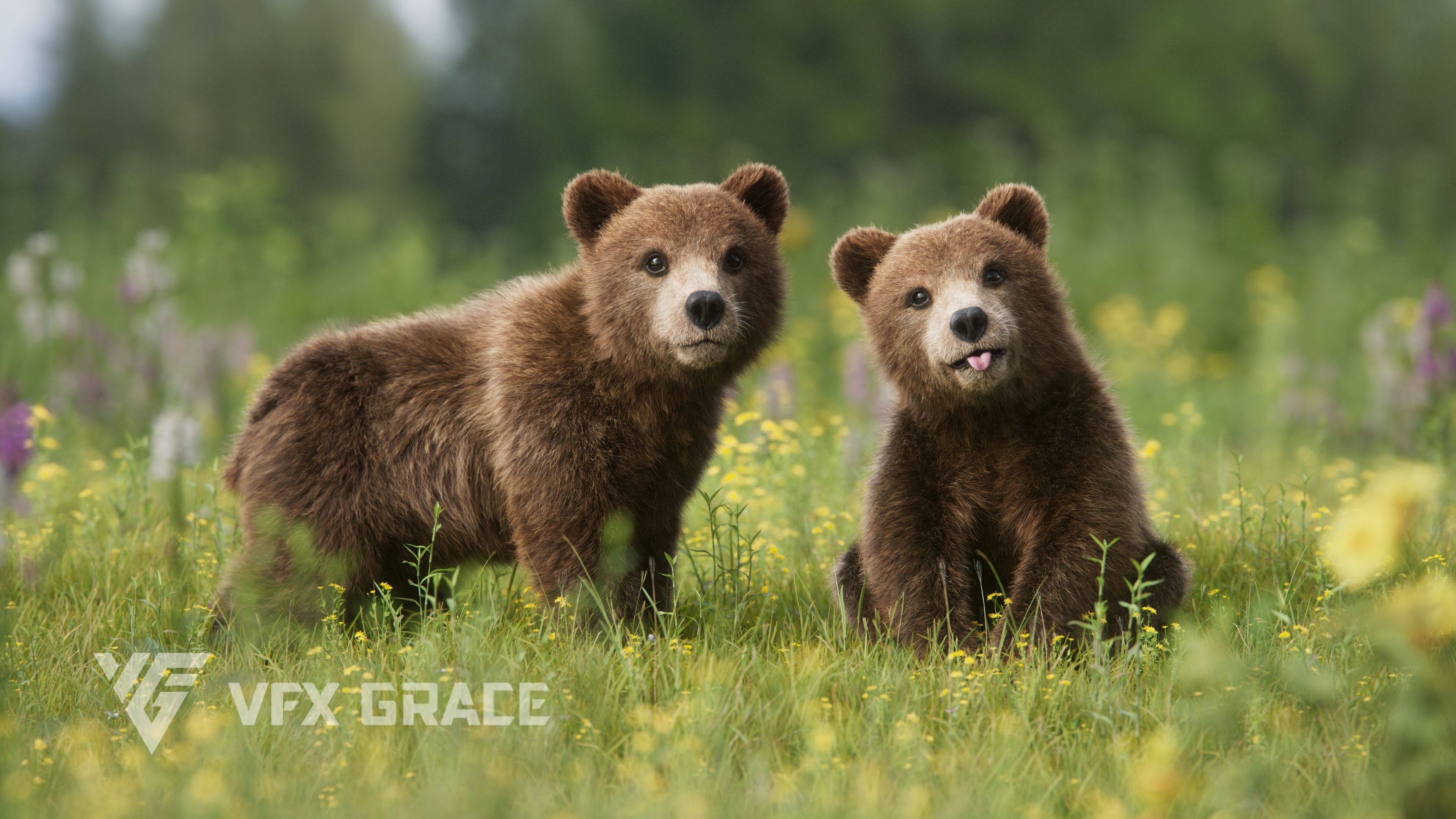Brown Bear Young VFX Grace 3D model_7