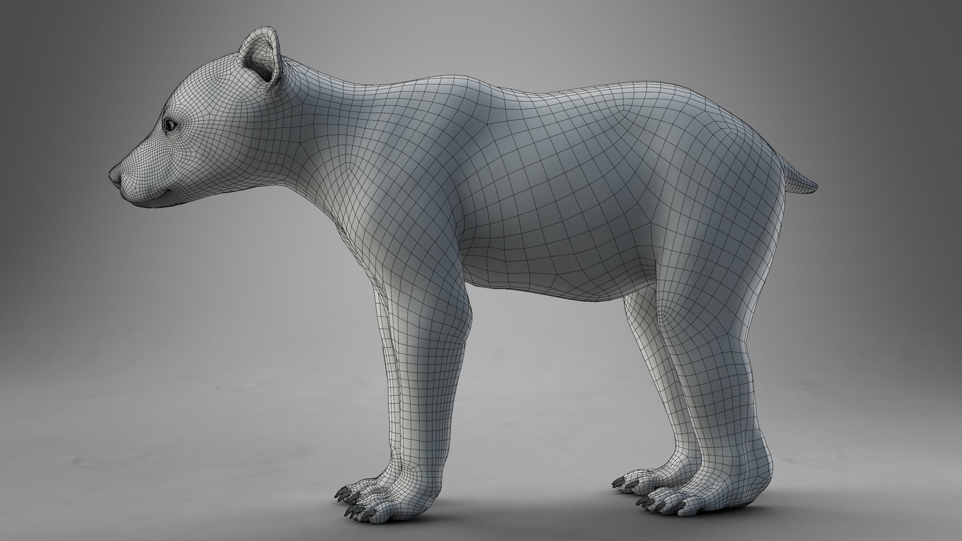 Brown Bear Young VFX Grace 3D model_23