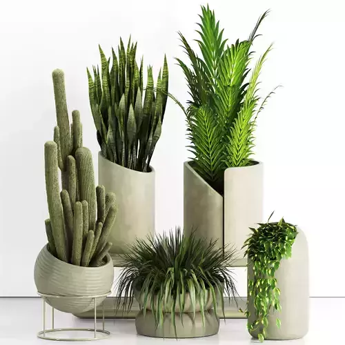 Indoor Plants in rusty Concrete Pot - Set-83 3D model