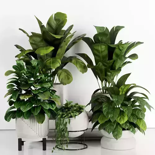 Indoor Plants in rusty Concrete Pot - Set-84 3D model