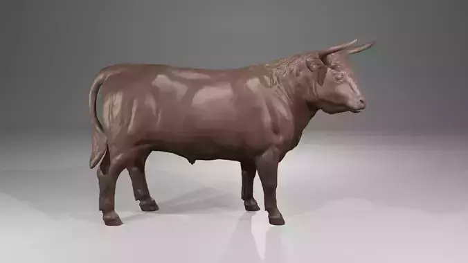 realistic Standing Heck cattle or fighting bull steer  3D print model