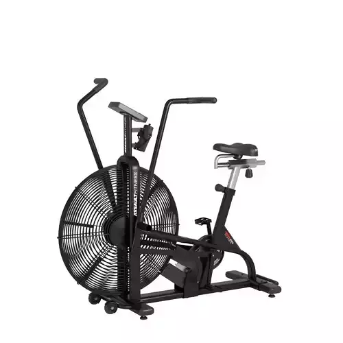 Assault Bike Classic