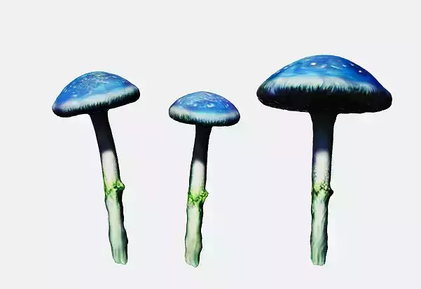 Magic forest mushroom blue 
