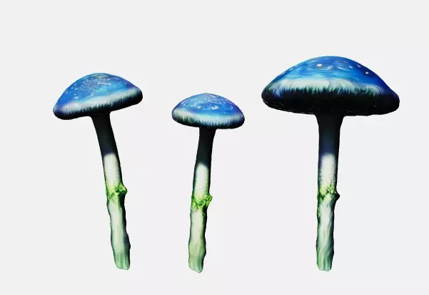 Magic forest mushroom blue 3D model