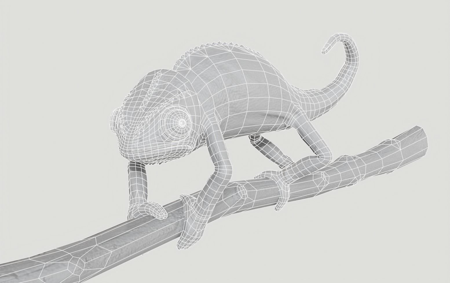 Chameleon Rigged and Animated Low-poly 3D model_5