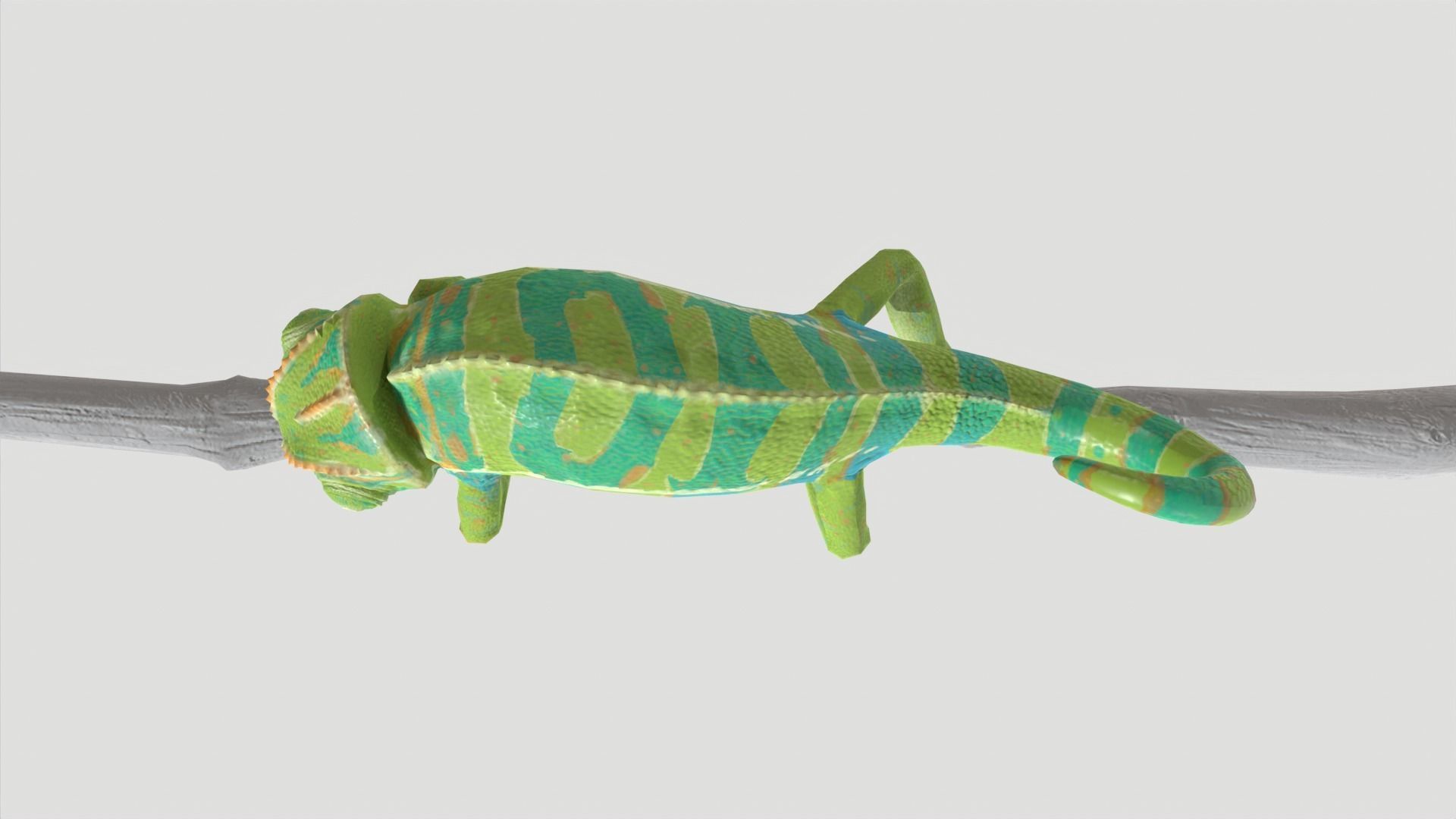 Chameleon Rigged and Animated Low-poly 3D model_3